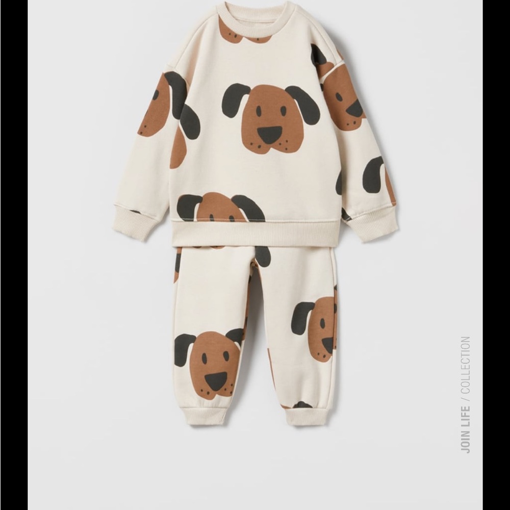 ISO zara dog set